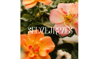 Ar ko sedzējrozes ir tik īpašas?